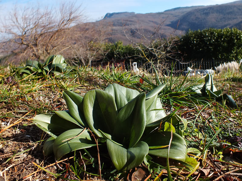 DSCF9581.jpg