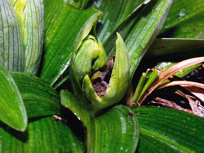 DSC_8540.jpg