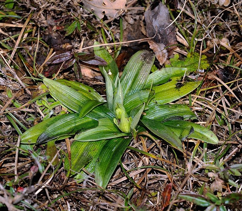 DSC_8546.jpg