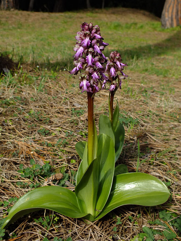 DSCF2801.jpg