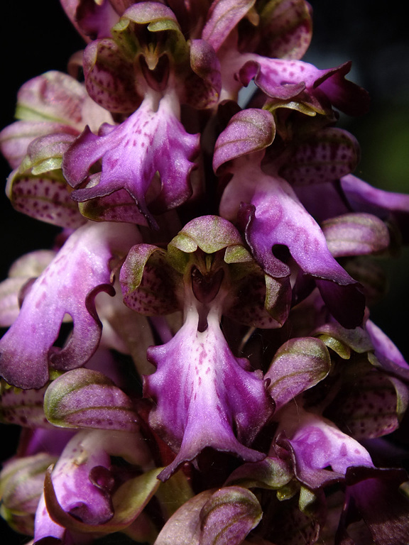 DSCF2805.jpg