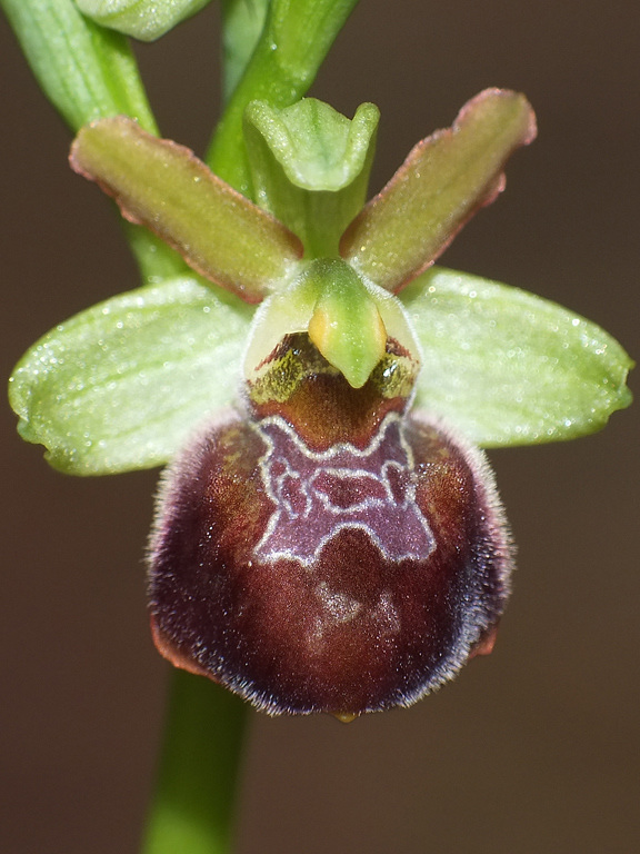 DSCF2286.jpg