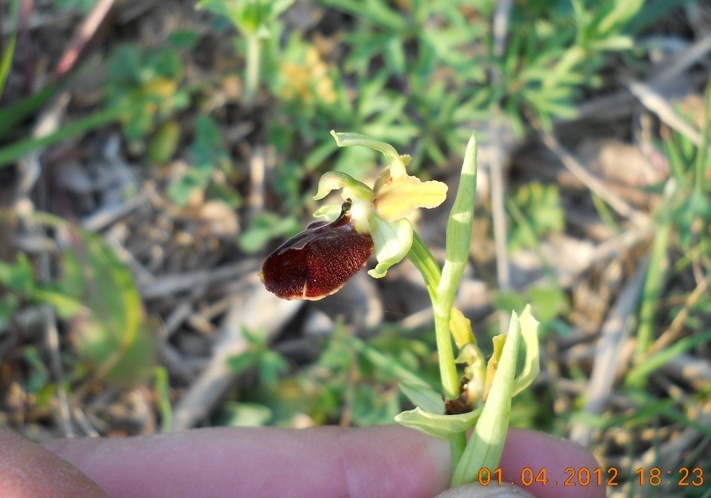 canip 010412 042.jpg