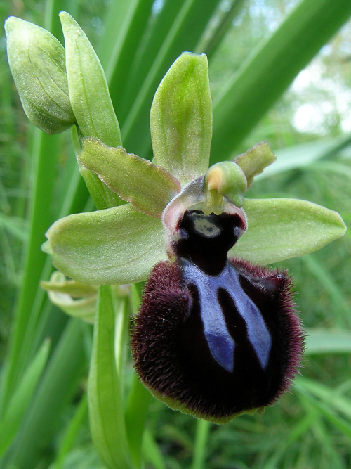 DSCN4507.jpg