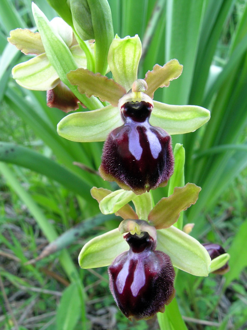 DSCN4522.jpg