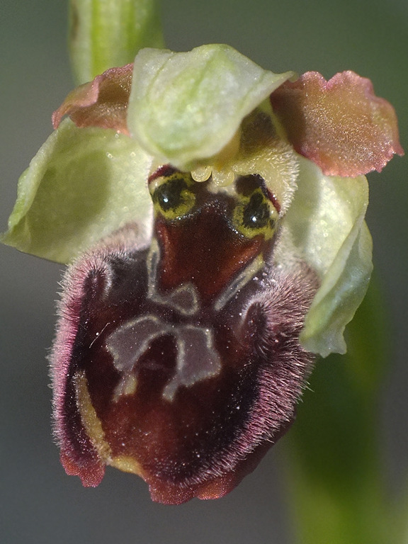 DSCF4990.jpg