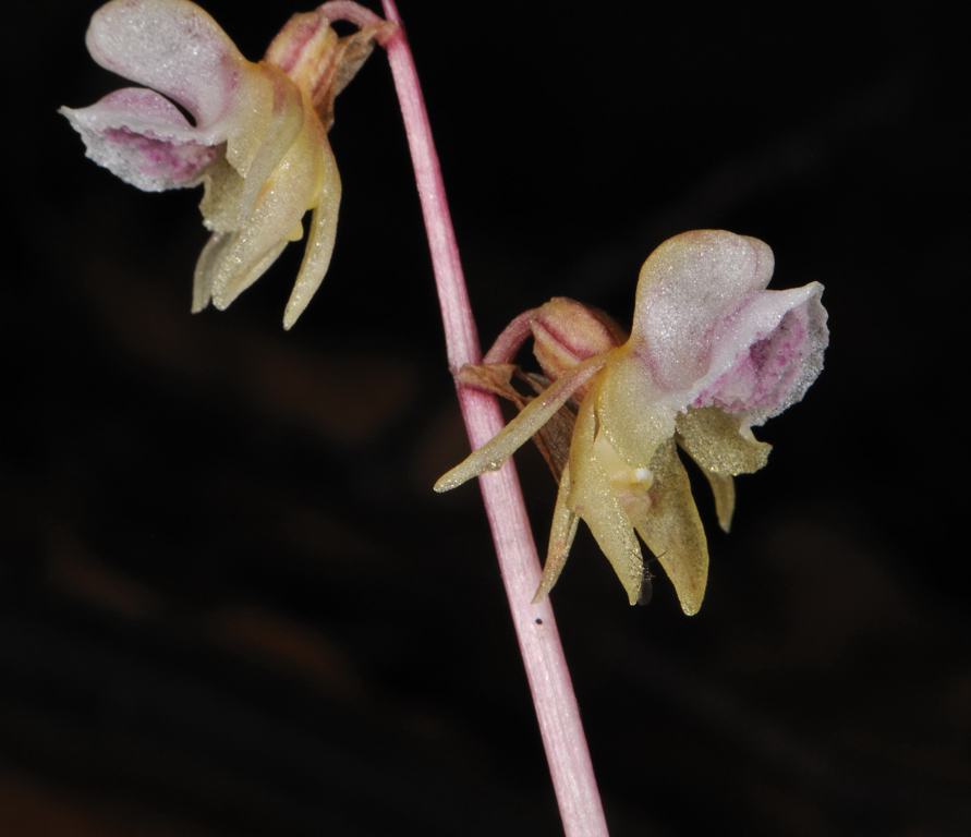 DSC_5037.jpg