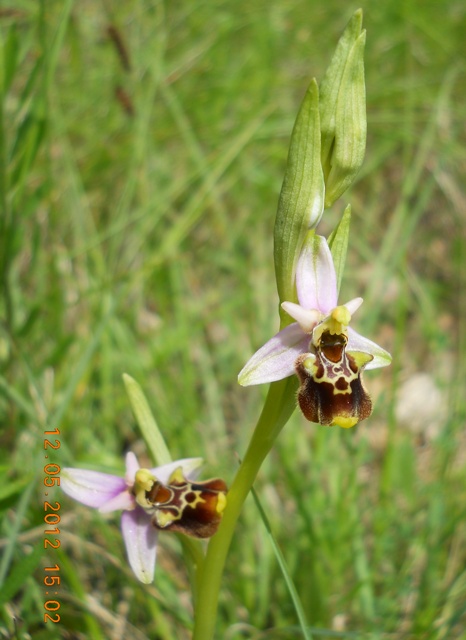 DSCN3184.JPG