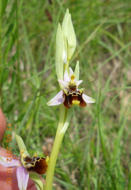 DSCN3185.JPG