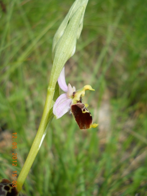 DSCN3189.JPG