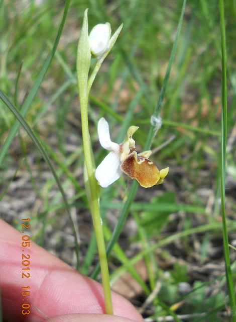 DSCN3187.JPG
