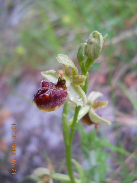 DSCN3241.JPG