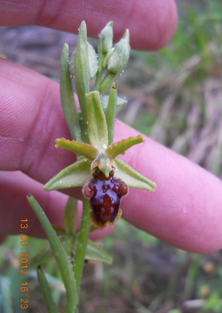 DSCN3251.JPG