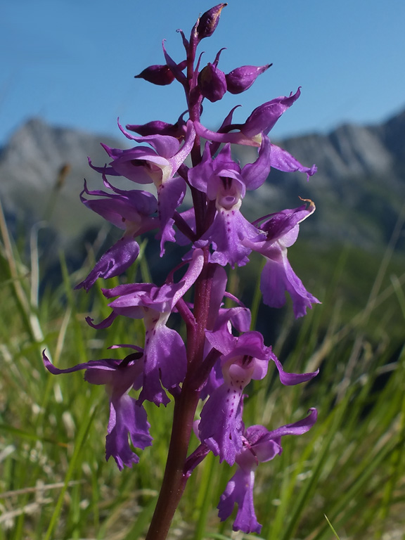 DSCF6897.jpg