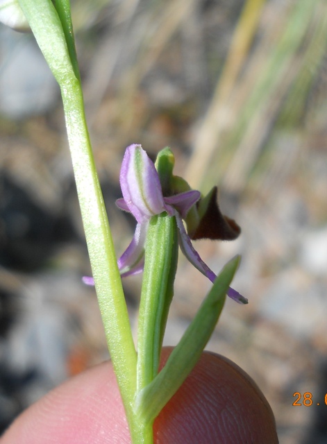 DSCN3507.JPG