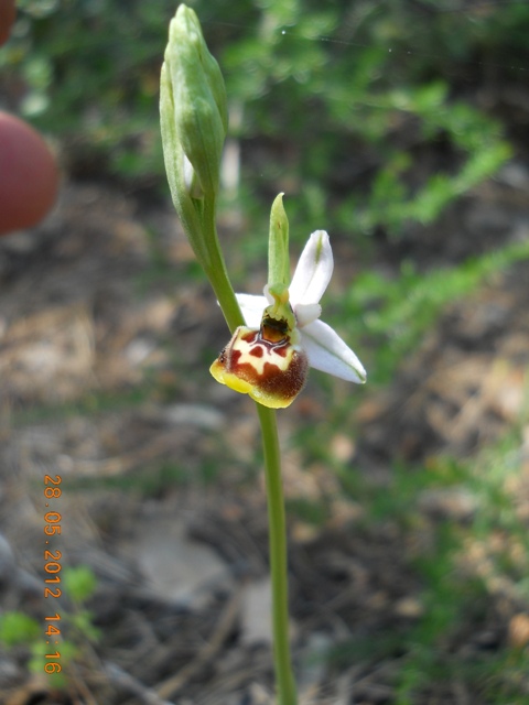 DSCN3593.JPG