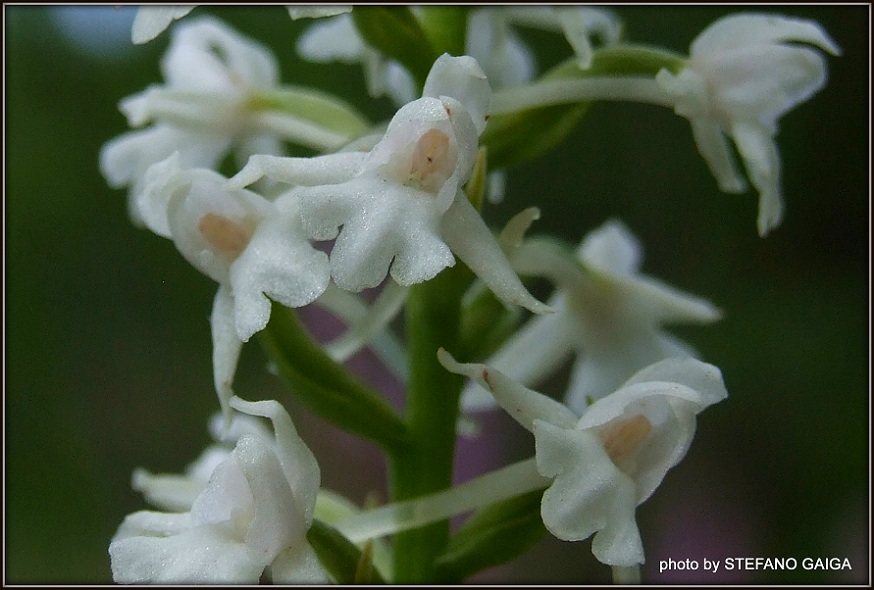 DSCF9215.JPG