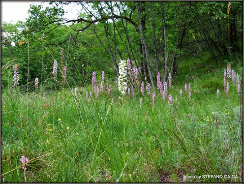 DSCF9228.JPG