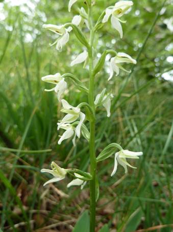 image005.jpg