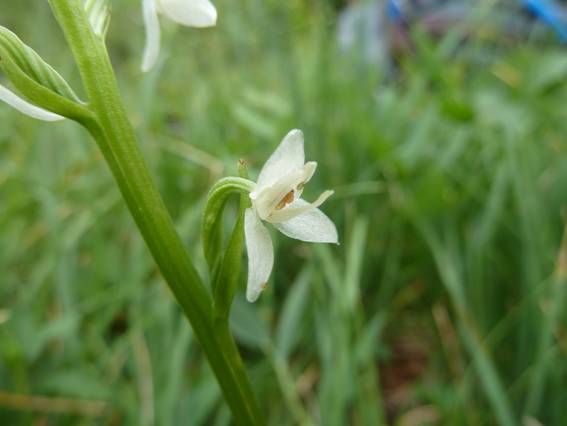 image006.jpg