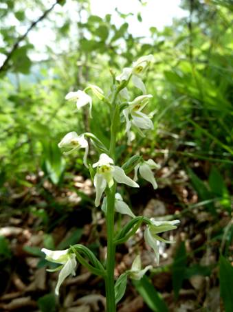 image012.jpg
