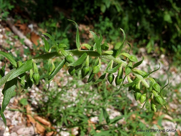 DSCF9418.JPG
