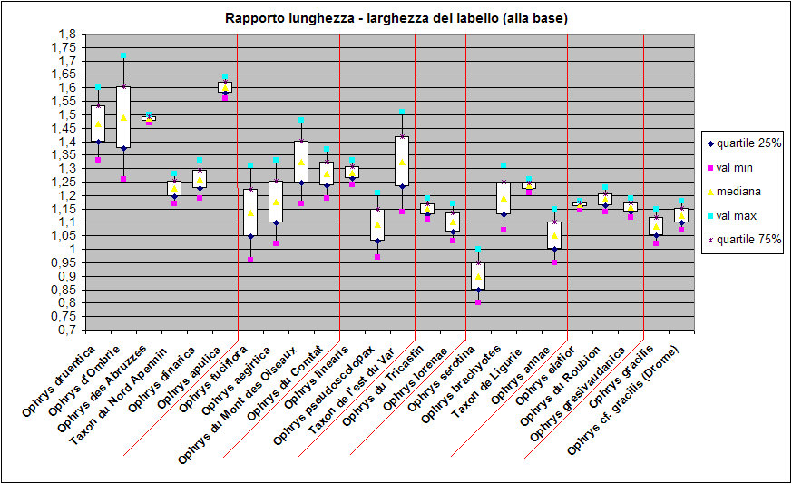 Demange.5 Rapporto lunghezza - larghezza del labello (alla base).jpg