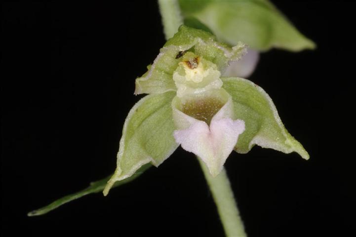 4 (Medium) (Small).JPG