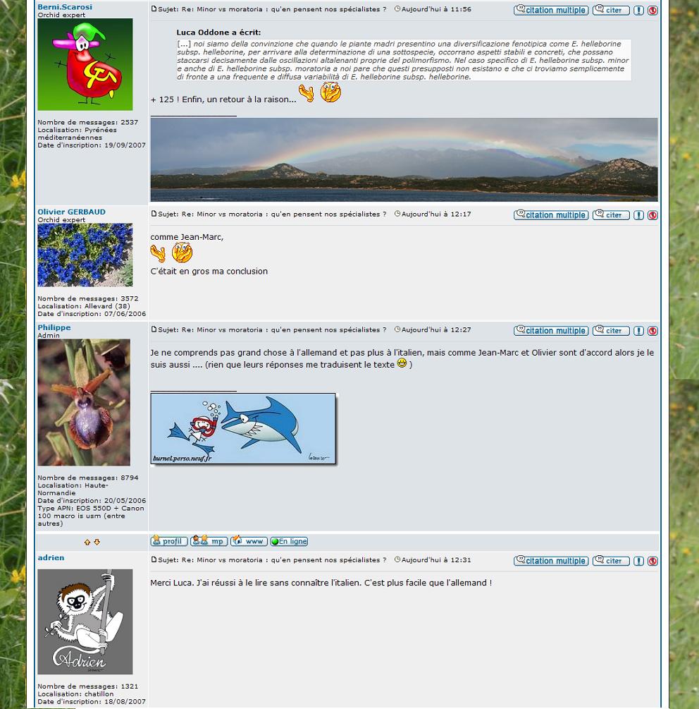 Forum Ophrys.bbactif.JPG