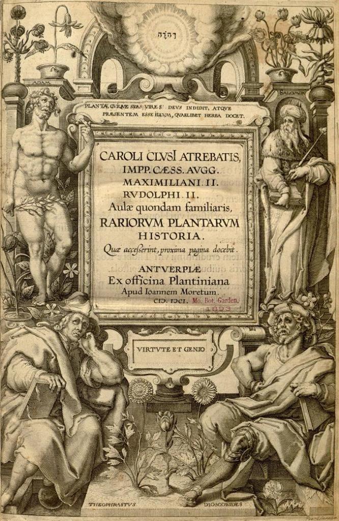 Clusius 1.JPG