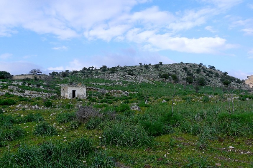 16 febbraio 2013 075_filtered.jpg