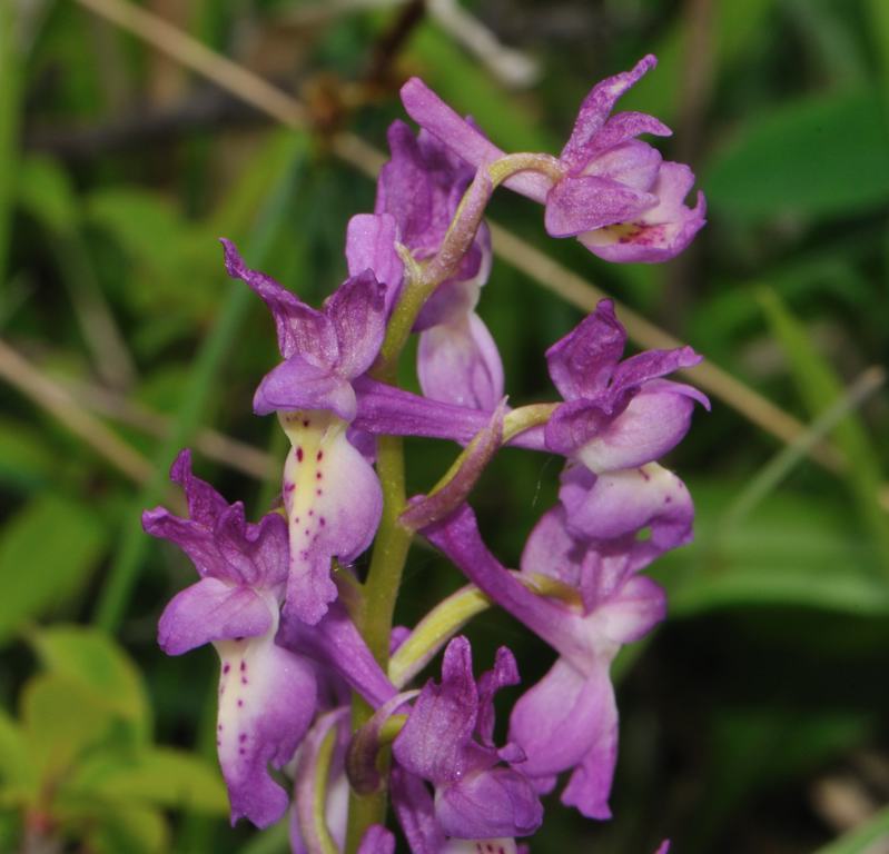 DSC_3583.jpg