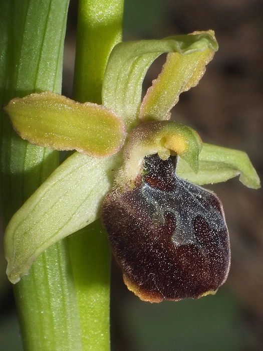 DSCF6949.jpg