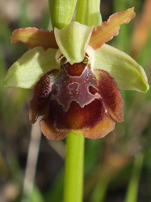 DSCF7185.jpg