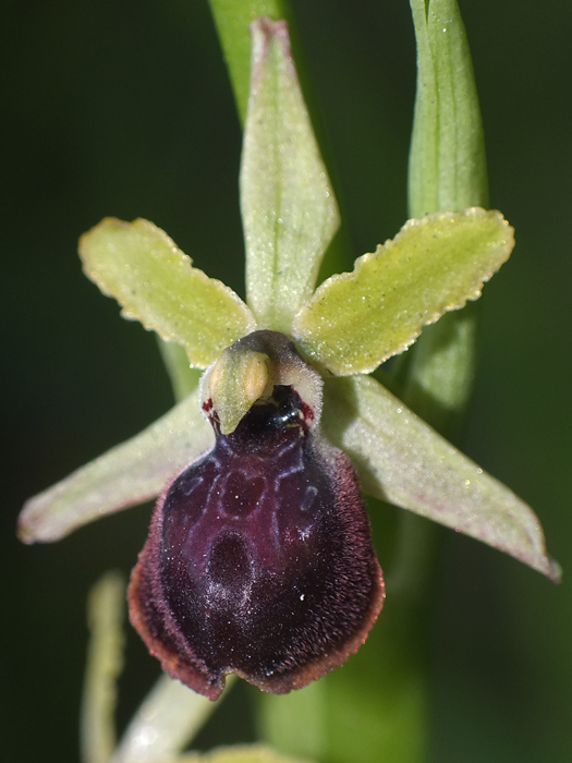 DSCF9910.jpg