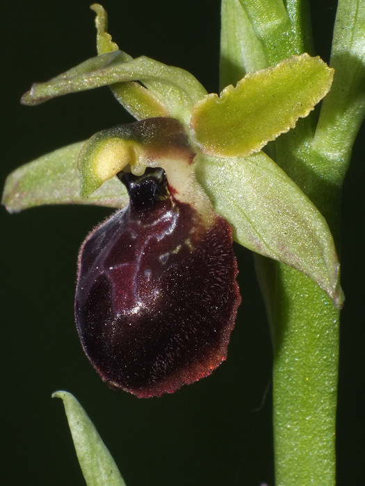 DSCF9922.jpg
