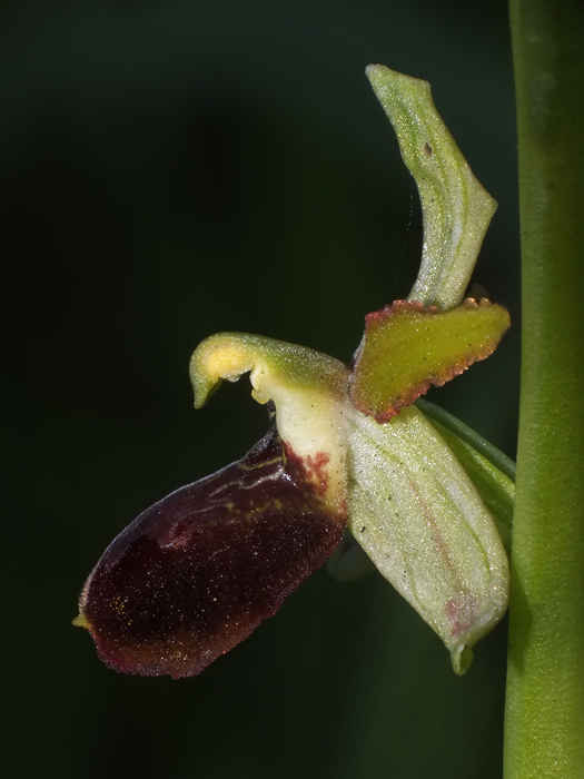DSCF9888.jpg