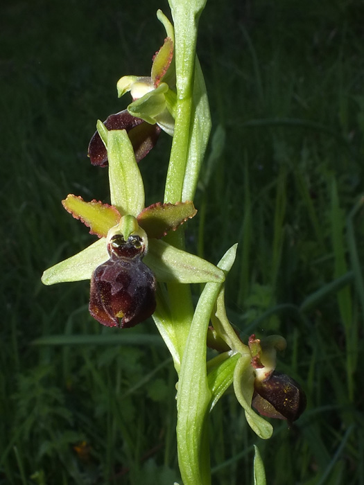DSCF9882.jpg
