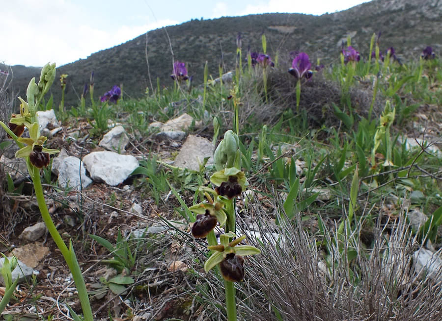 DSCF9558.jpg