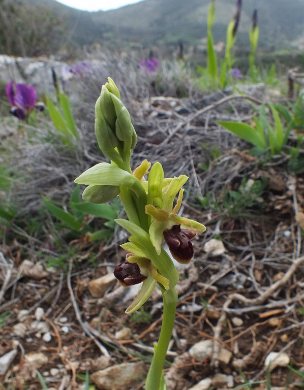 DSCF9573.jpg
