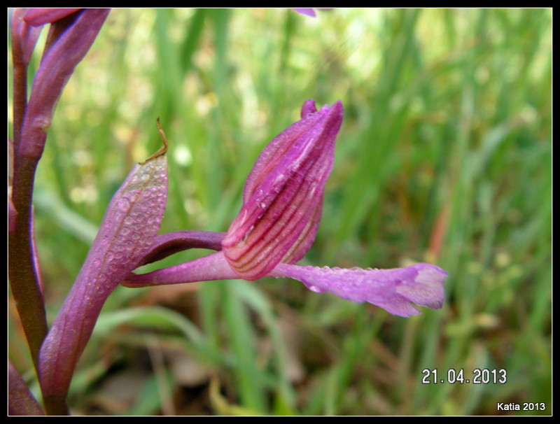 1-PICT1515.JPG