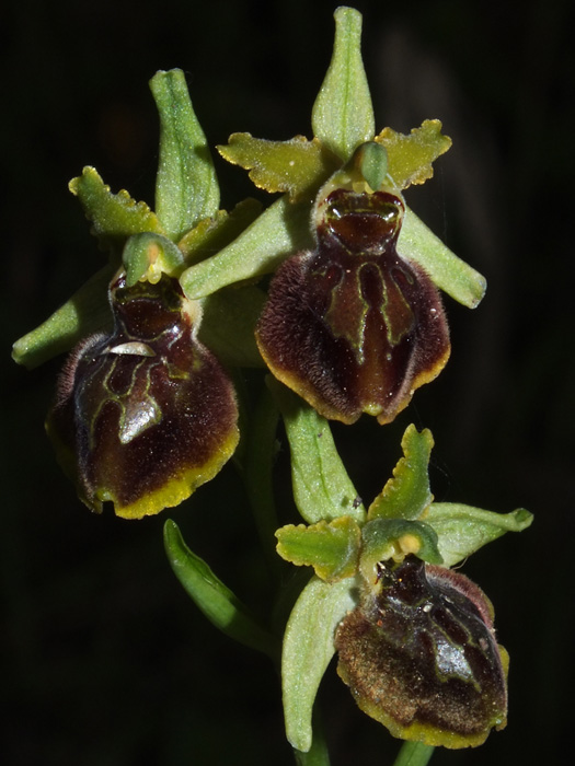 DSCF1773.jpg