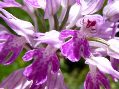 image019.jpg