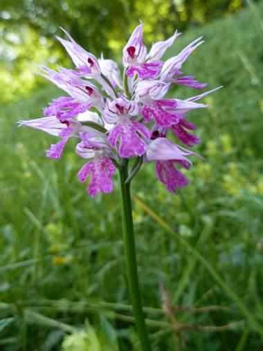 image014.jpg