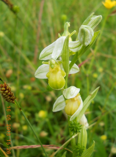 DSCN5912.JPG