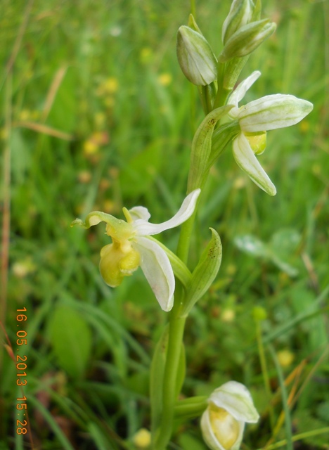 DSCN5916.JPG
