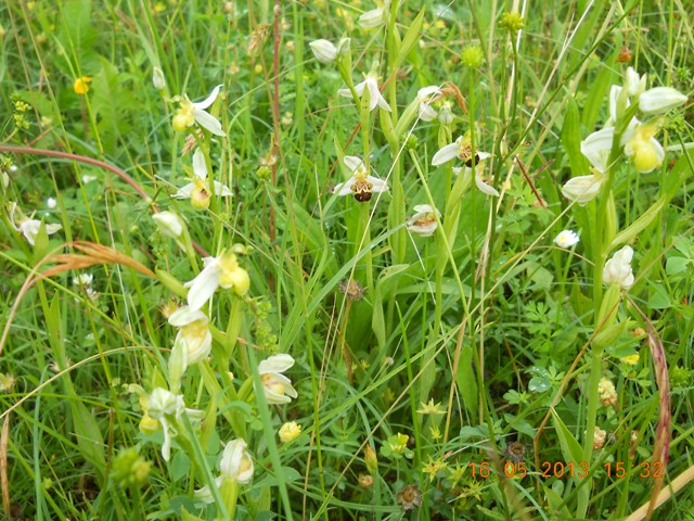 DSCN5918.JPG