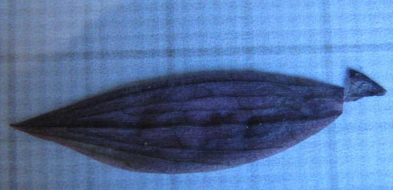bratt_foto-1-2.jpg