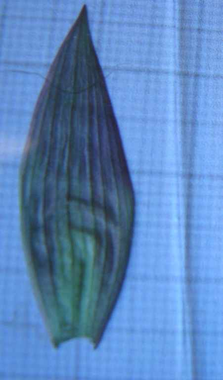 bratt_foto-4-5.jpg