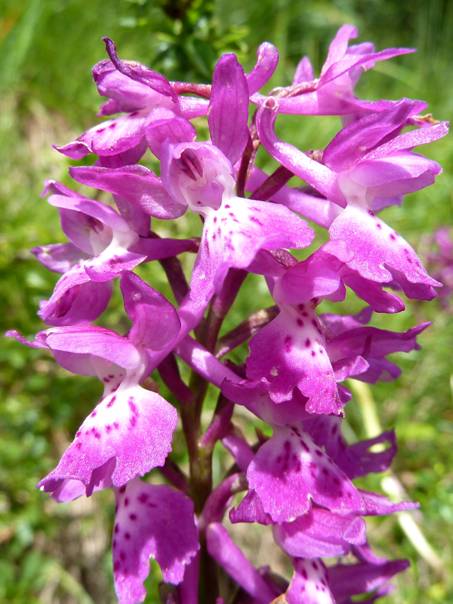 image006.jpg